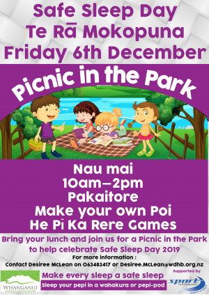Safe sleep picnic in the park poster