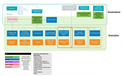 WDHB organisational chart
