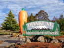 Ohakune's famous giant carrot